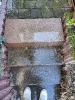 Bilder