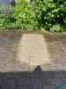 Bilder